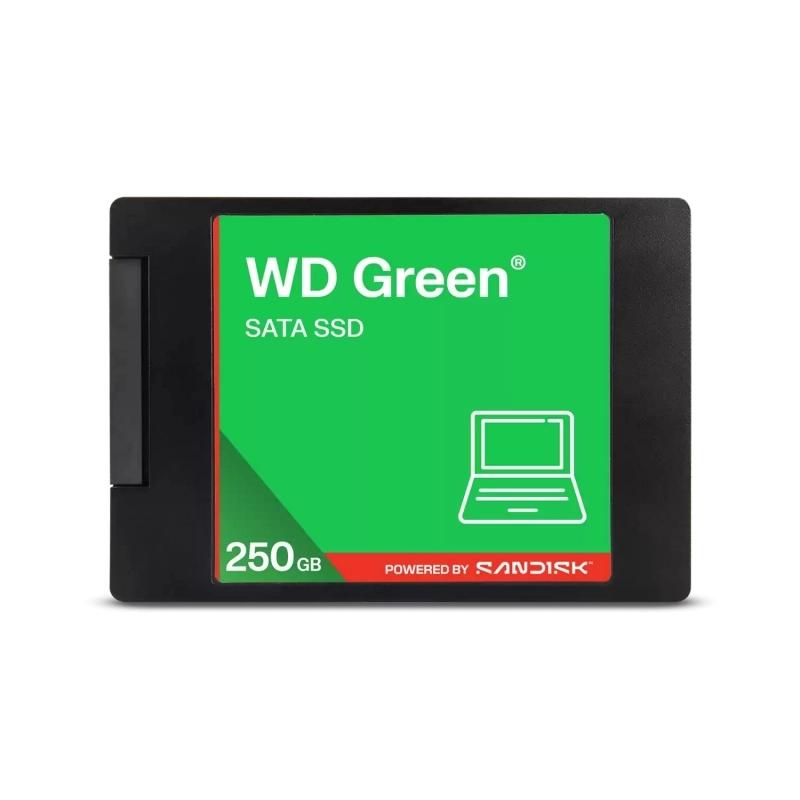 WDS250G5G0A-00CPT0-1